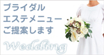 �u���C�_���G�X�e�̂����