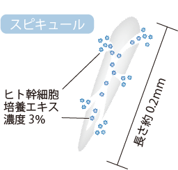 セスコーポレーション株式会社